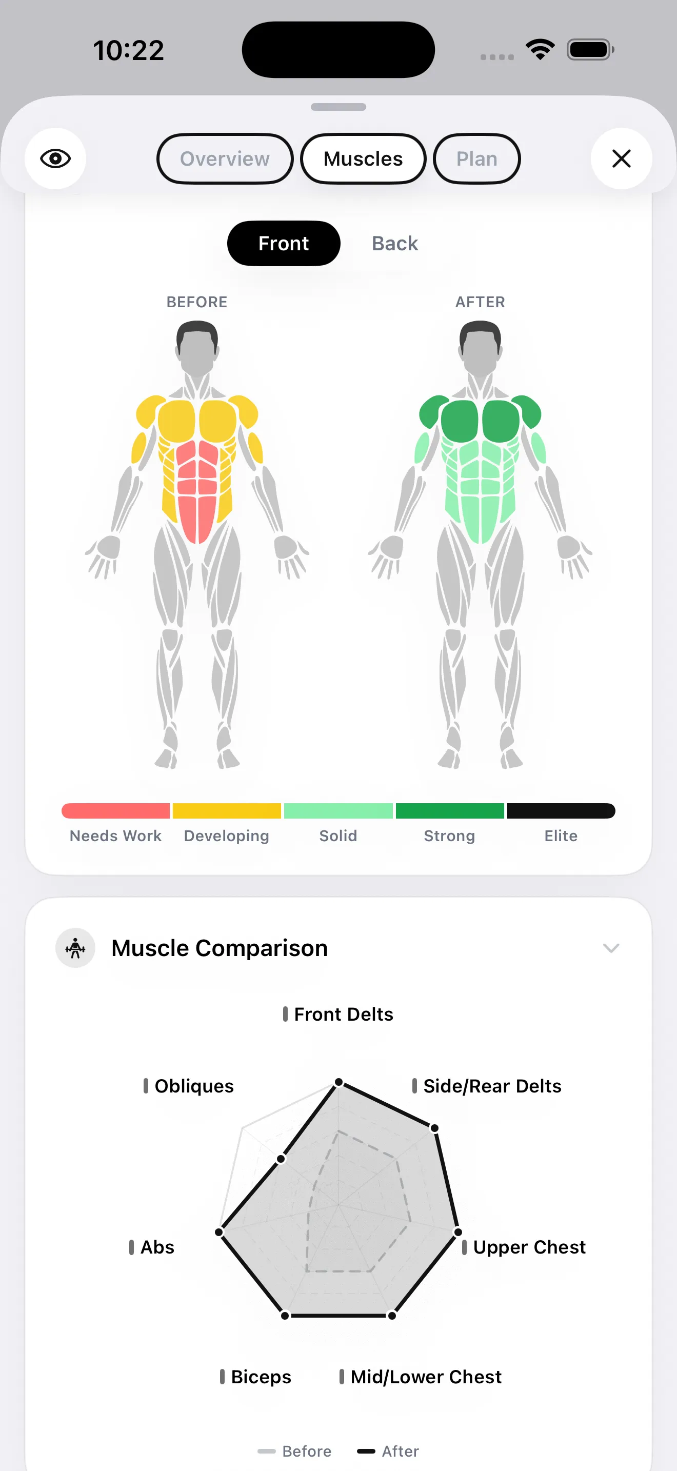 GainFrame muscle analysis comparing before and after muscle maps and a muscle comparison chart.