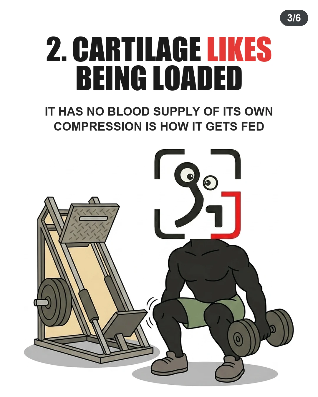 The GainFrame mascot squats with dumbbells near a leg press machine, showing how loading and compression deliver nutrients to joint cartilage.
