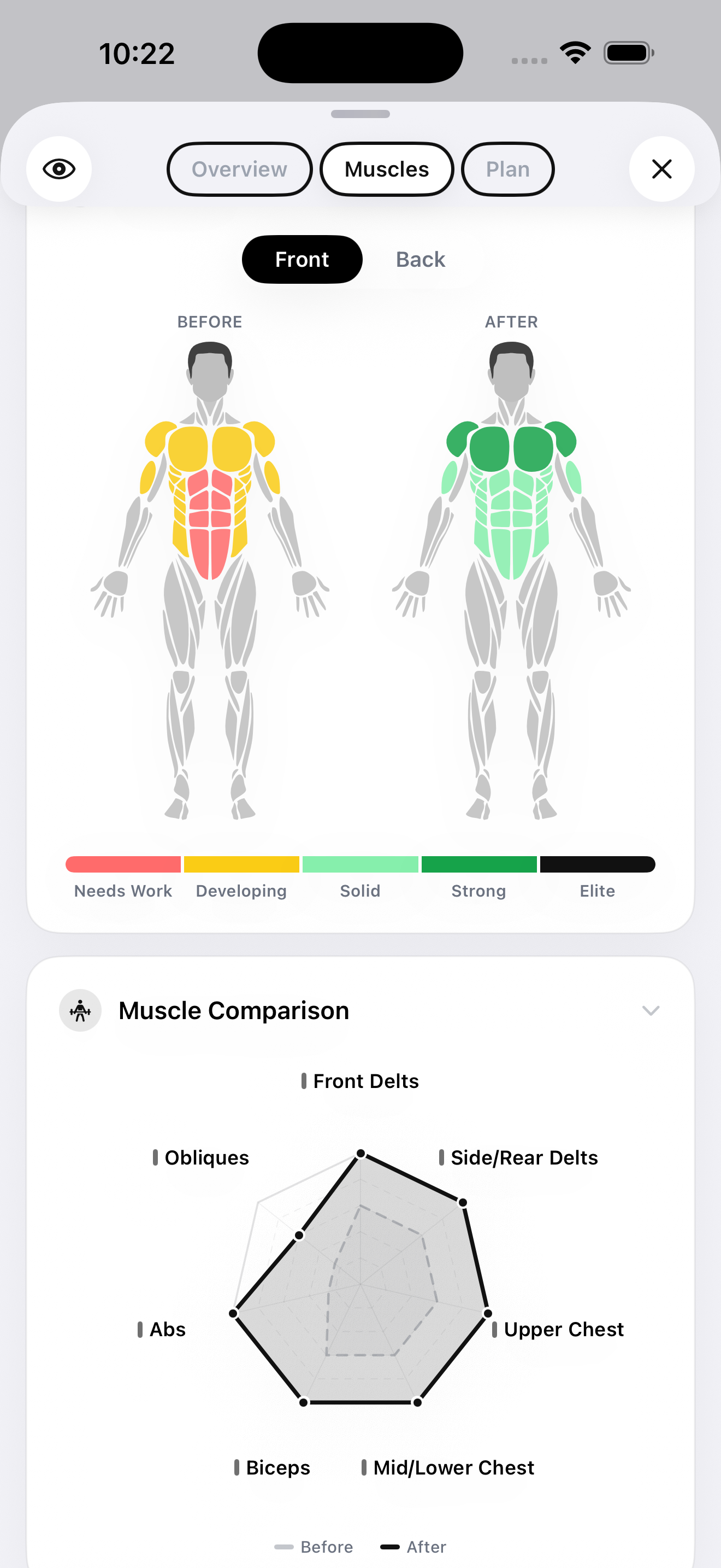 GainFrame muscle group breakdown showing individual scores for chest, shoulders, back, arms, abs, legs and other muscle groups
